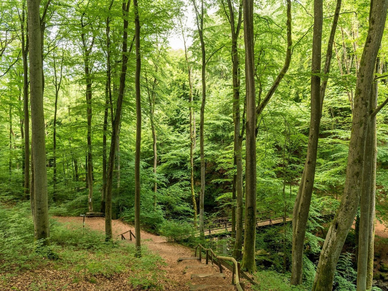 Westerwälder Natur pur inkl. Wellness-Verwöhnpension