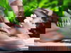 Relax Radium Palace - 3 Tage
