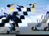 TEST TEST-TESTT ESTTEST