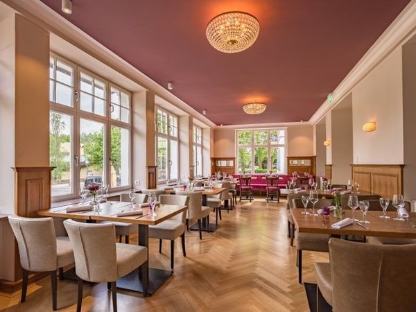 2 Tage auf vier Pfoten in der Wetterau in Nidda, Hessen inkl. Halbpension