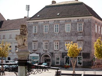 3 Tage Urlaub - Weinviertel inkl. E-Bike & Verkostung