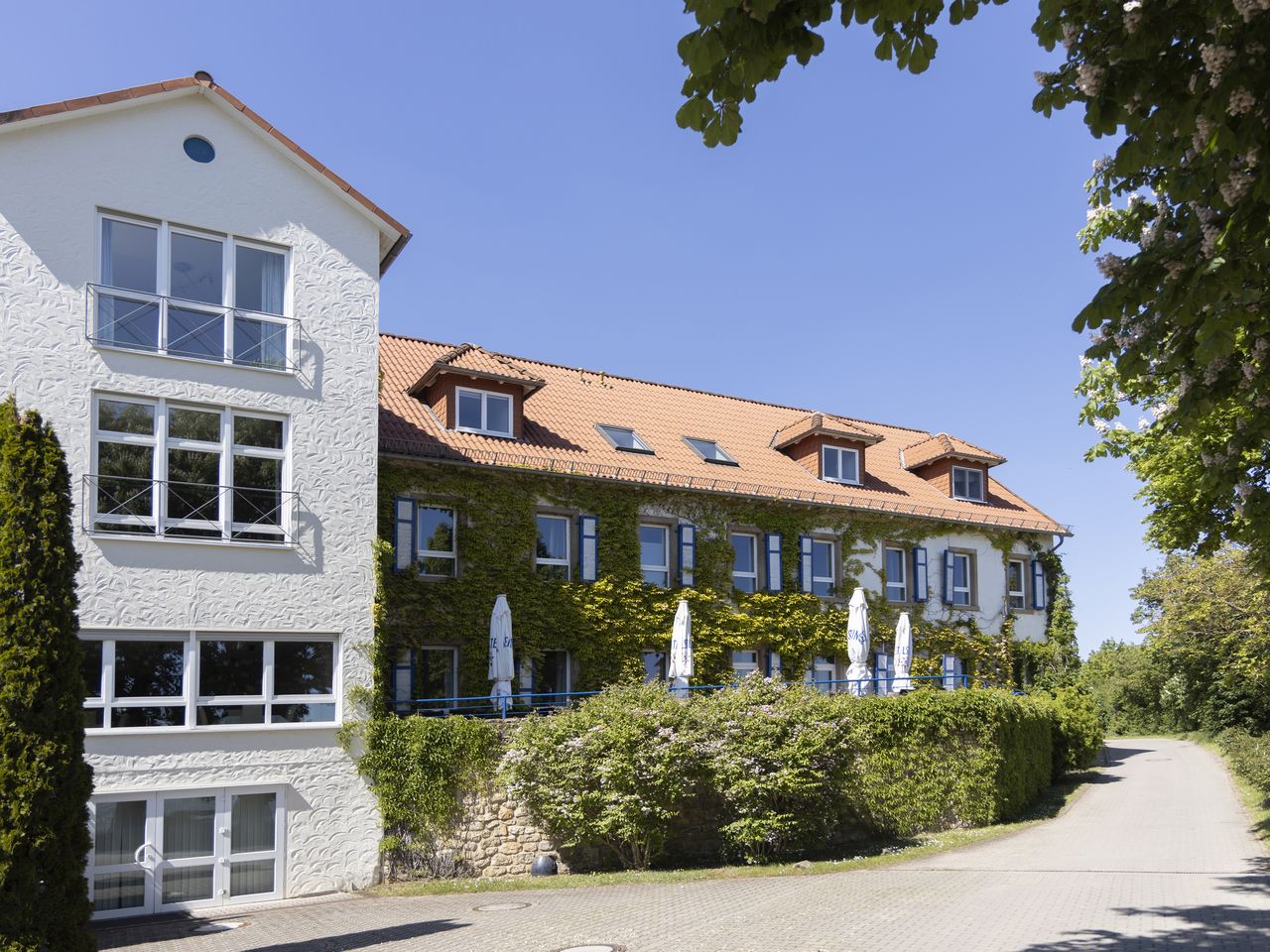 Winterliche Träumerei im Weinberg