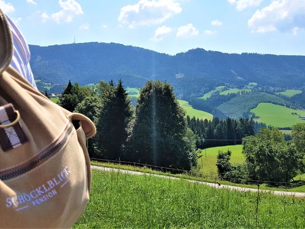 Raus aus der Stadt | 2 Tage Auszeit inkl. Lurgrotte in Semriach, Steiermark inkl. Frühstück