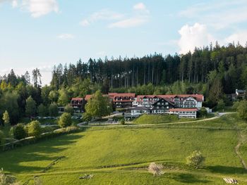 Frühjahrserwachen im Allgäu - 3 Tage pure Erholung