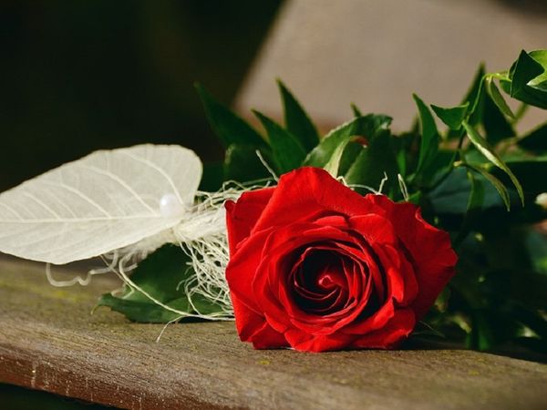 Romantikerlebnis an der Weser – 4 Tage Bremen Halbpension