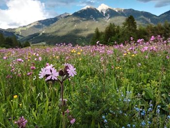 6 Tage Entspannung in den Tiroler Alpen