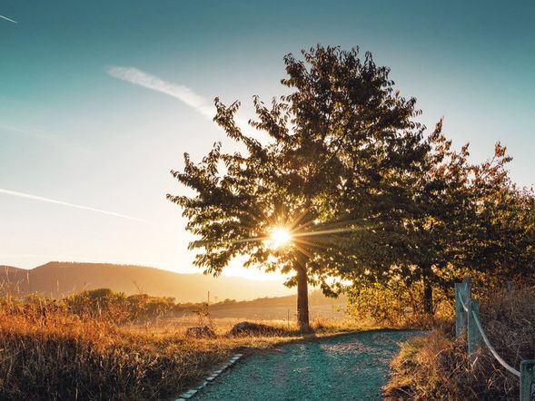 3 Tage Wellnessauszeit in Wernigerode inkl. Thermenbesuch