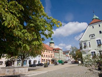 7 Tage belebende Stoffwechselaktivierungs-Kur