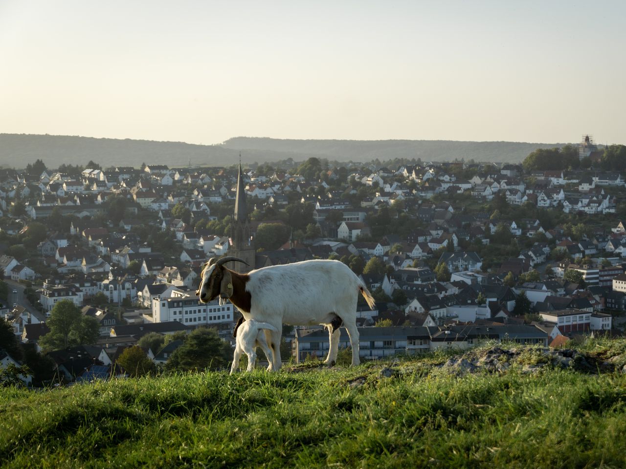 5 Tage Kurzurlaub