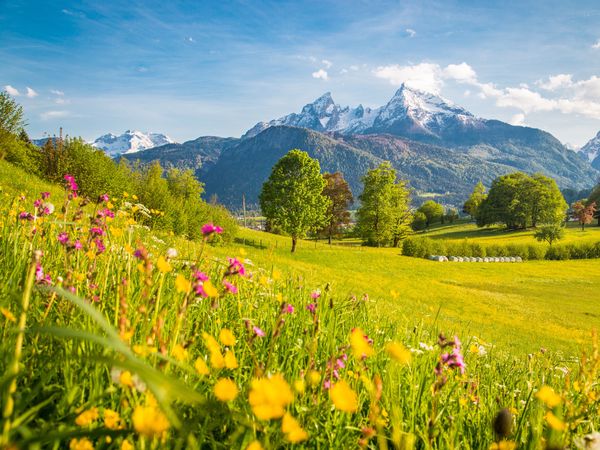 4 Tage Kurz mal in die Berge - 4 Nächte in Hippach, Tirol inkl. Frühstück