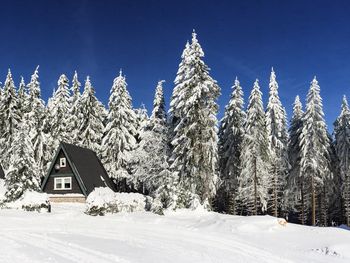 Ihre Auszeit im Thüringer Wald - 8 Tage Vollpension