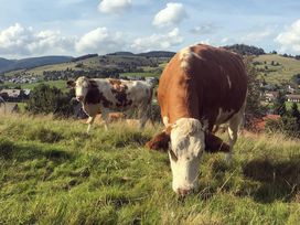 3 Schnuppertage im idyllischen Südschwarzwald