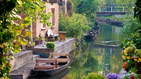Spreewald