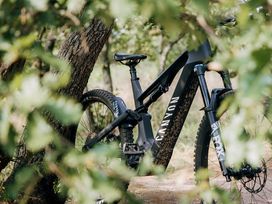 Wanderurlaub Pfälzerwald inkl. Halbpension | 5 Tage