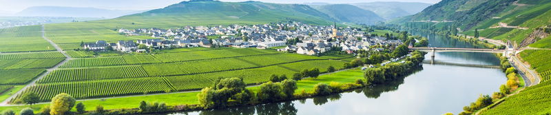 Weinberge und ein Winzerdorf in einer Moselschleife
