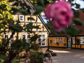 5 Tage in Kappeln an der Schlei / Ostsee