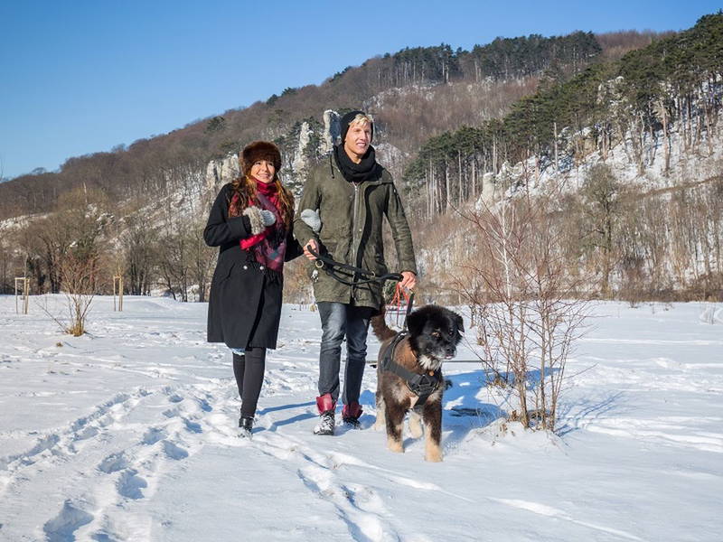 Auszeit für Sie & Ihren Hund, 8 Tage/7 Nächte