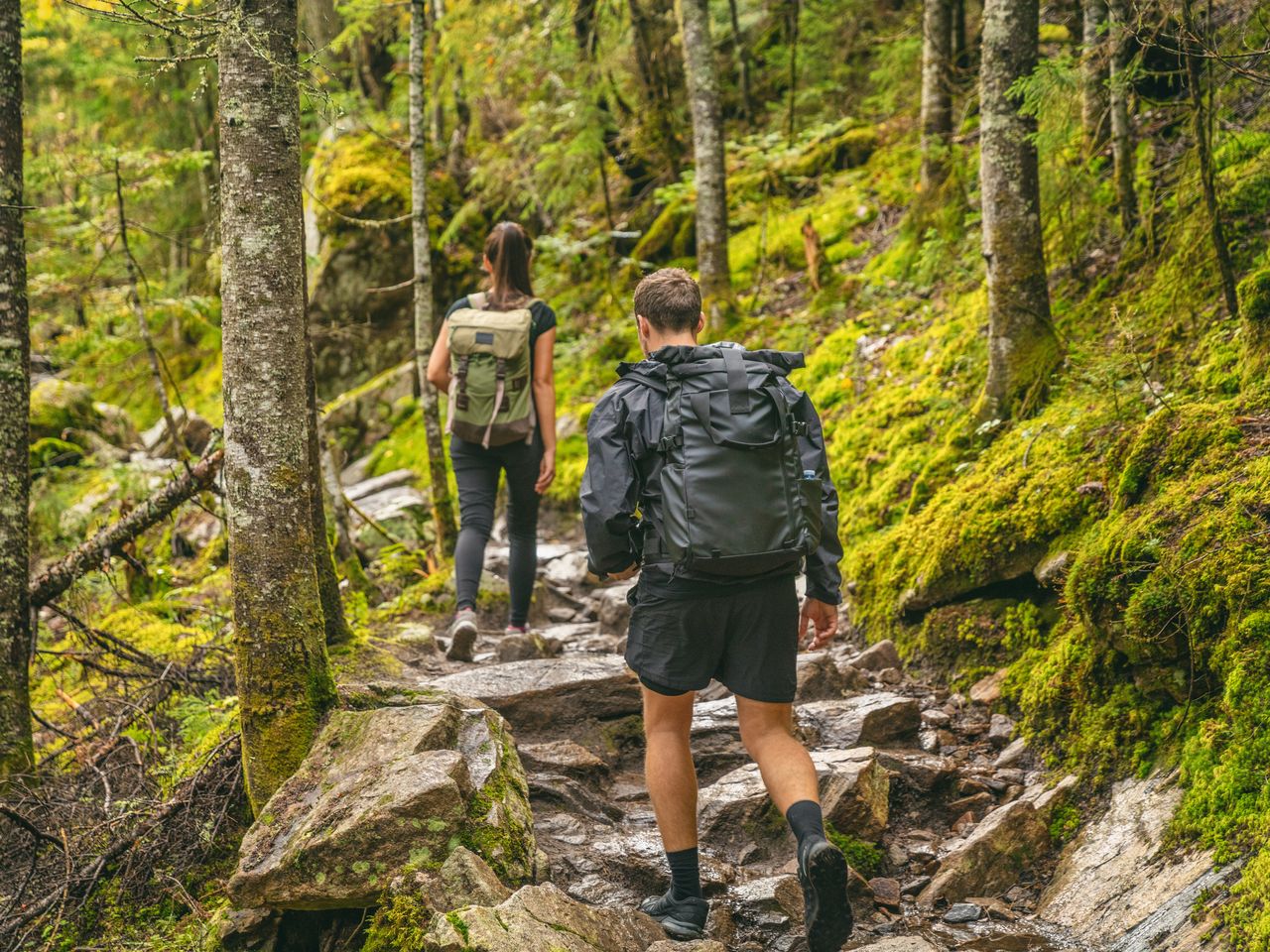 Wandern entlang des Prädikatswanderweges 'Goldsteig'