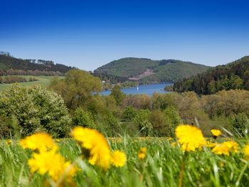 3 Tage Kurzurlaub im Naturparadies Arnsberg