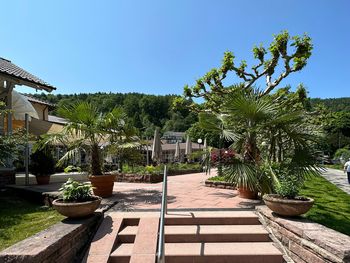 3 Tage Schwarzwald: Road - Trip