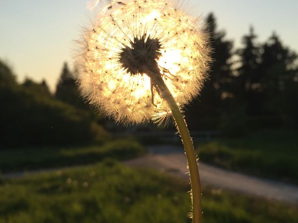 3 Tage K.R.A.F.T. – In der Natur dem Stress entfliehen in Kahla, Thüringen inkl. Halbpension