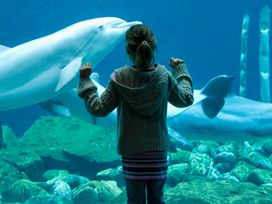 Tiergarten Nürnberg mit Hotel