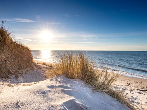 9 Tage Urlaub im Hafenresidenz Stralsund, Mecklenburg-Vorpommern