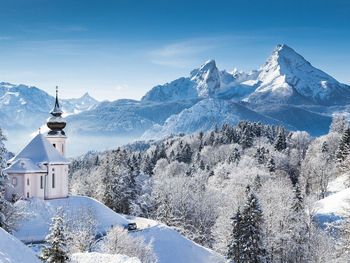 Bild 7 von 42