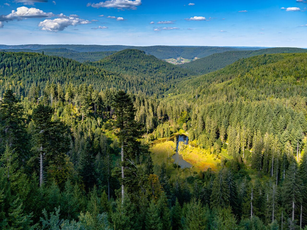 2 Tage Nordschwarzwald auf 4 Pfoten