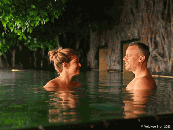 3 Tage Wellness im Naturgebiet Veluwe in Deventer,  inkl. Frühstück