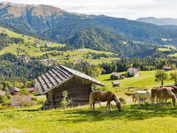 5 Tage Kinder erwünscht - Biourlaub in den Kärntner Bergen in Eberstein, Kärnten inkl. Halbpension