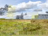 6 Tage Erholung & Naturgenuss im grünen Drenthe