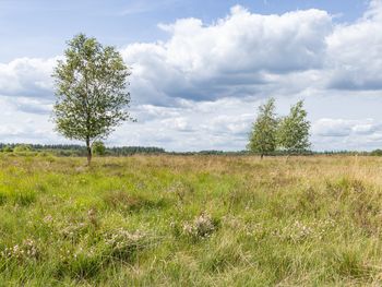 3 Tage Erholung & Naturgenuss im grünen Drenthe