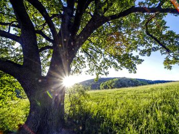 Auszeit im Dreiländereck - 7 Tage mit Frühstück