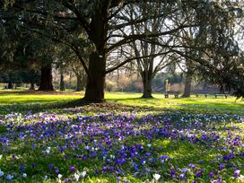 Herbst & Harmonie im Hochschwarzwald