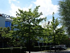Auszeit 3 Tage mit Frühstück im AMBER ECONTEL München