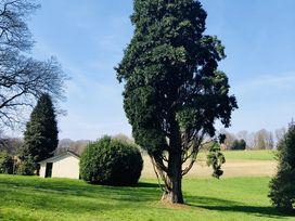 3 Tage Panoramahotel Gelderland – Natur & Auszeit pur