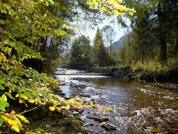 5 Wandertage im zauberhaften Chiemgau