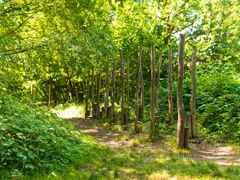 6 Tage - Märchenhafter Sommer am Schloss Mariakirchen