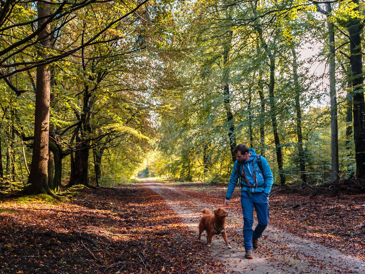 Wanderspaß im Nordschwarzwald: 8 Tage aktive Auszeit