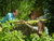 Bayerische Wellness-Auszeit - 4 Tage mit HP