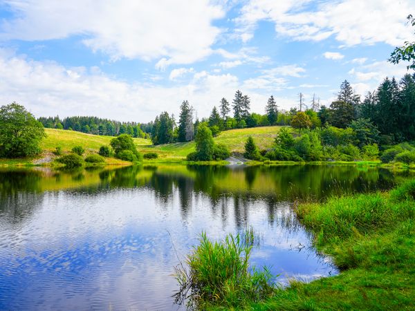 3 Tage Harzliebe mit Rundum-Verwöhnpaket zum Spitzenpreis in Clausthal-Zellerfeld, Niedersachsen inkl. Halbpension