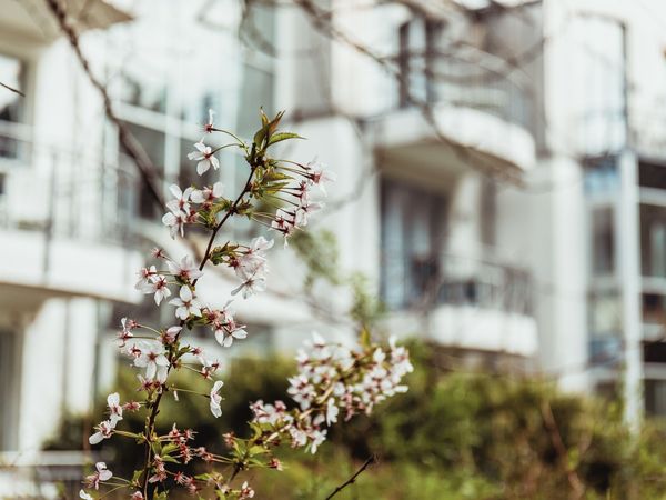 Nächster Halt Schwerin – 2 Tage an der Lewitz Mühle in Banzkow Frühstück