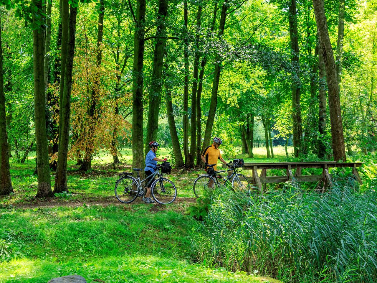 5 Tage Spreewälder Paddelerlebnis