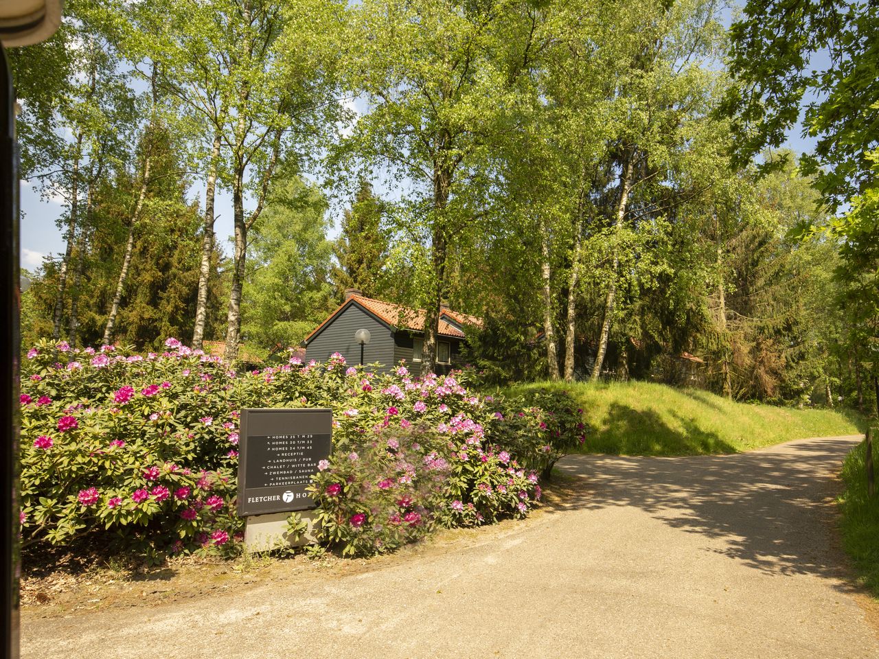 6 Tage umgeben von den Wäldern der Veluwe