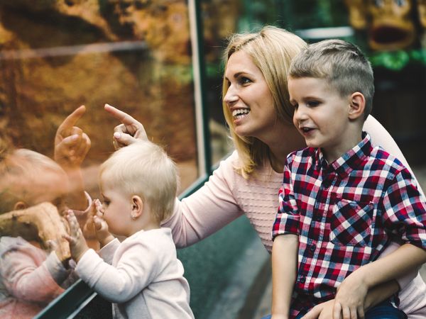 Familien-Erlebnis Prager Zoo – 4 Tage in Prag (Praha) inkl. Halbpension