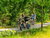 4 Tage am Nationalpark De Hooge Veluwe