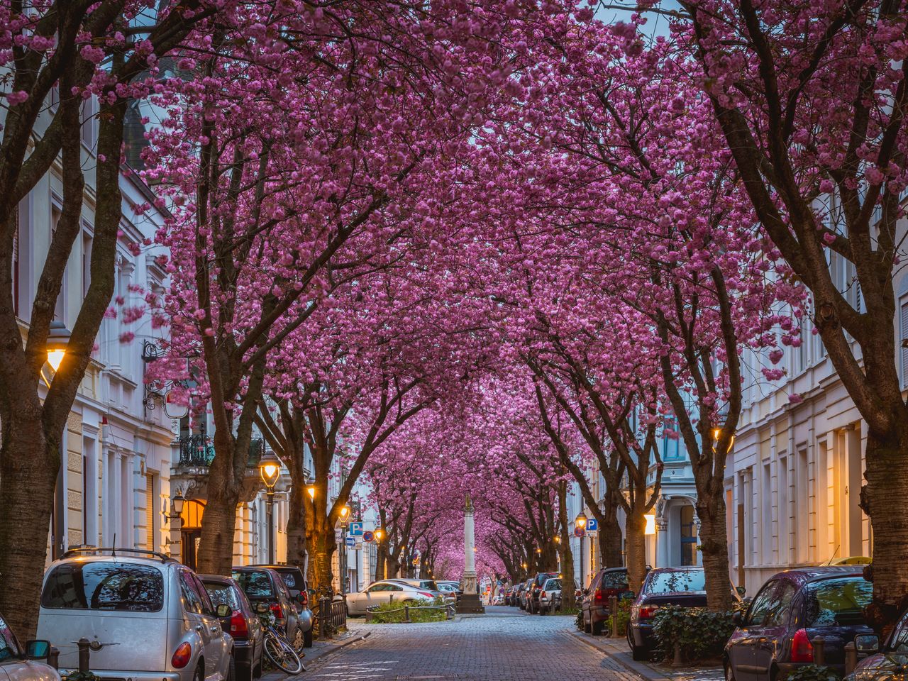 Schifffahrt Bonn -5 Tage