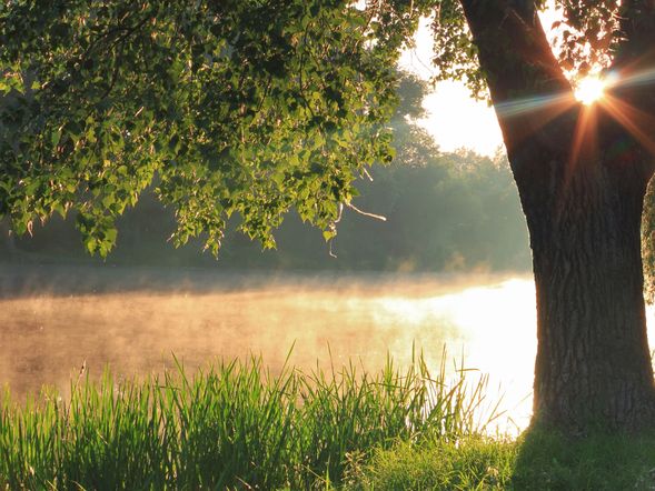 3 Tage Wochen(end) Kurztrip im Jagdschloss Letzlingen
