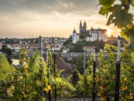 4 Tage in Radebeul - Das Herz der Sächsischen Weinstraße erleben!  inkl. Halbpension